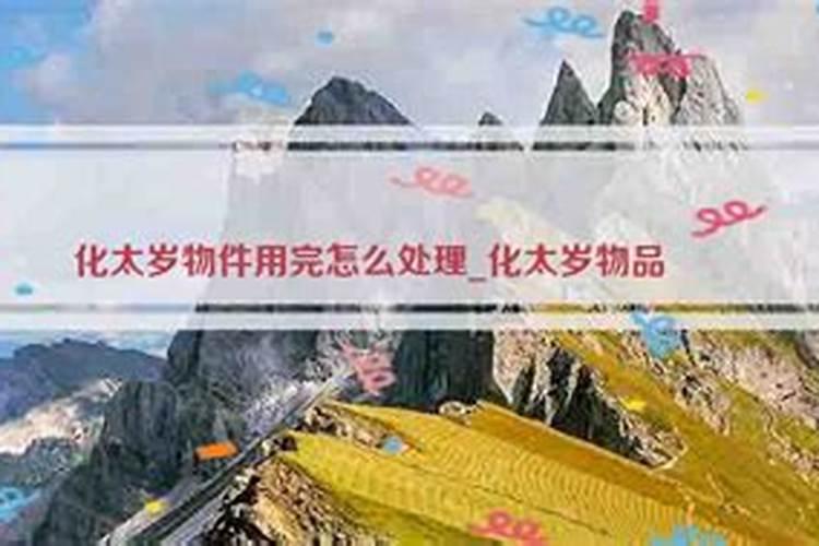 2008年鼠年属什么的命