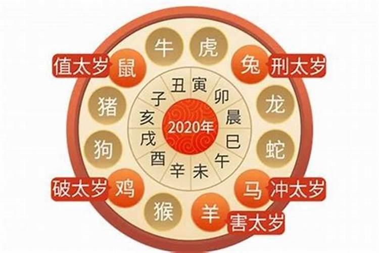 87年的兔2025年运势