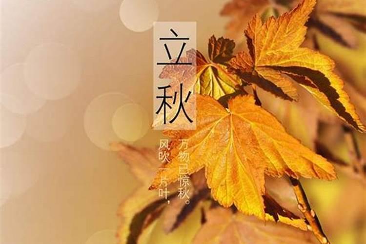 为什么说立秋出生的人不一般 立秋出生的寓意是什么？