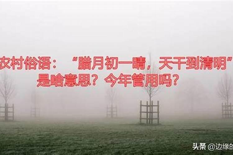 80年属猴女2025年运势每月运势