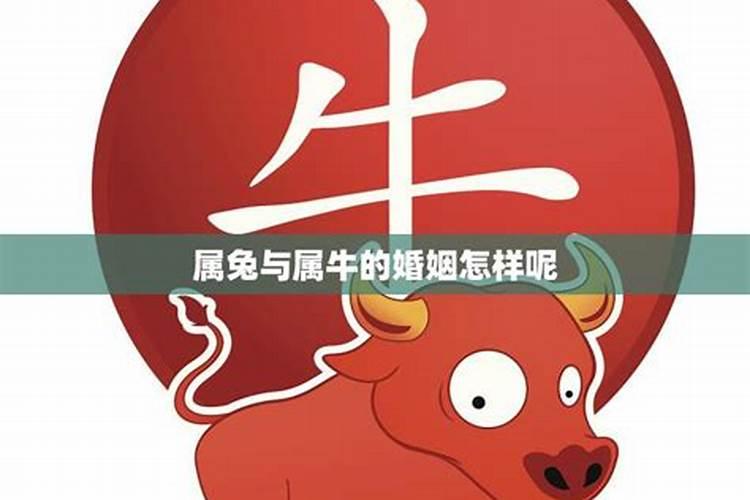 楼房前有一条小河,风水好不好？