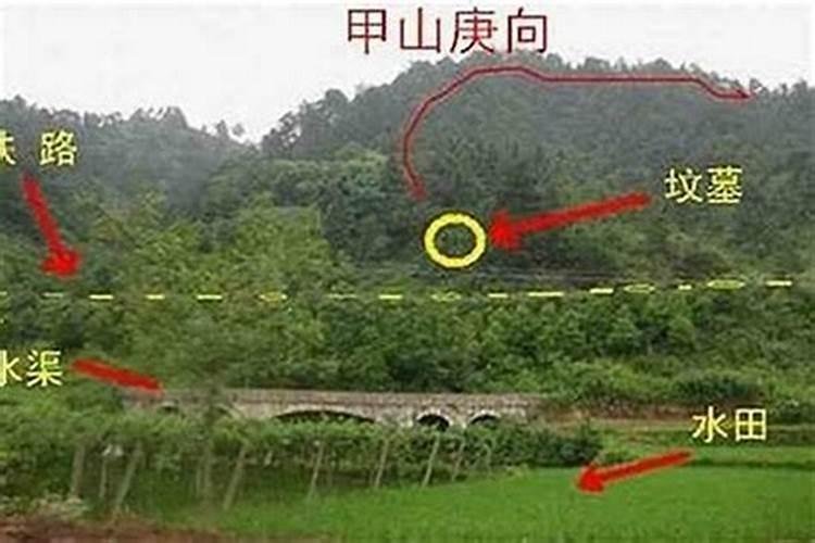 羊爸鼠妈能生狗宝宝吗 家庭氛围良好？