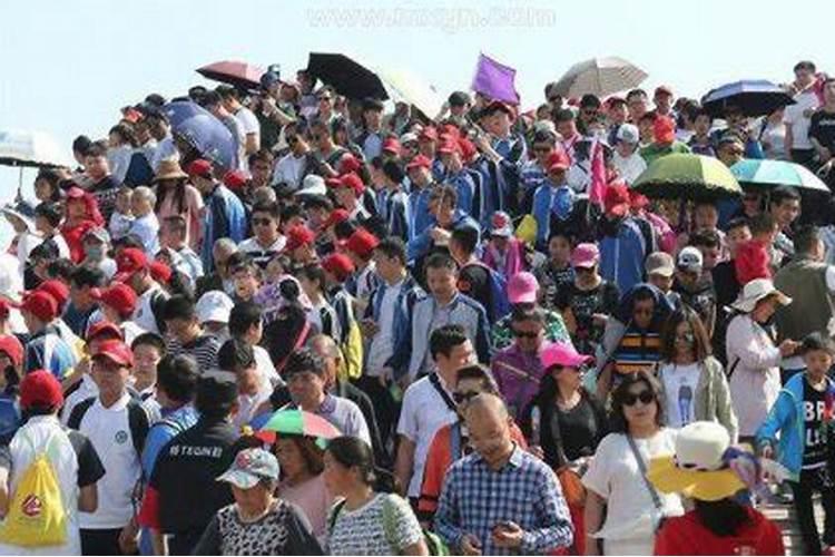 父亲是67年的羊,儿子是2006年的狗为什么总是吵架？