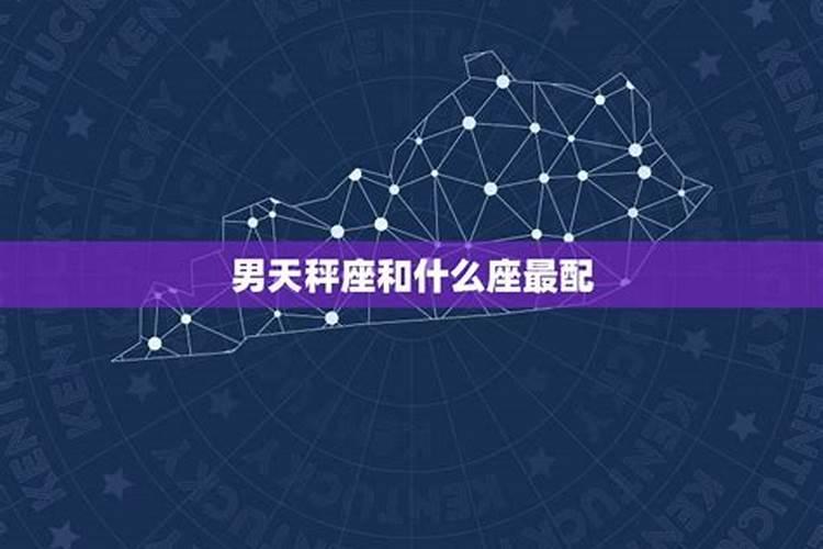 天秤座和什么座最配对