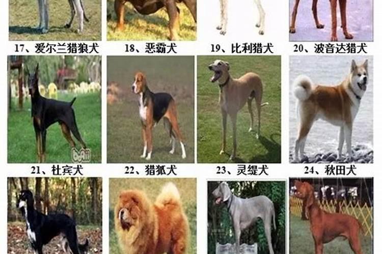 90年属马女2025年的运势如何