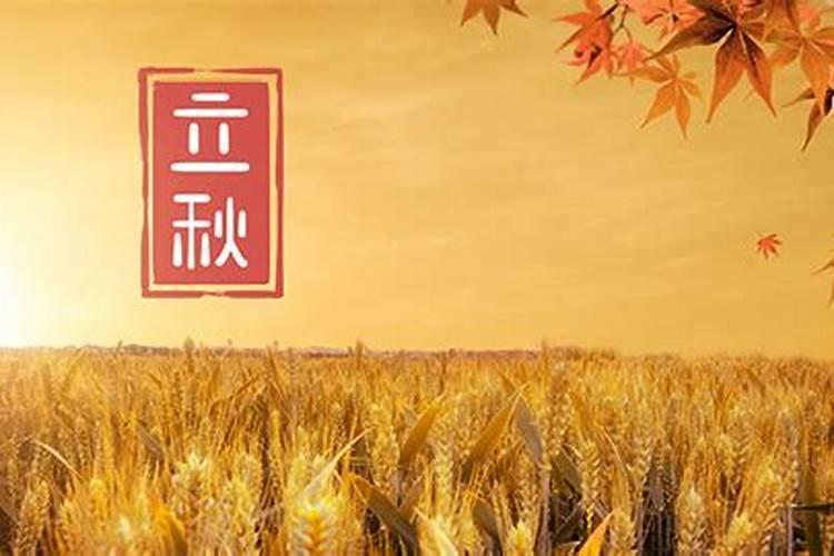 立秋后面是啥节气立秋后面是什么节气