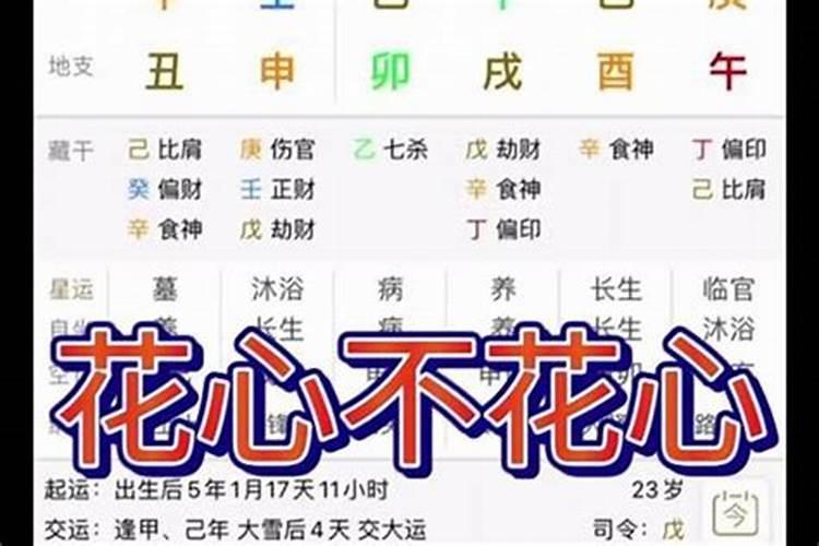 64年属龙2023到2025将来三年运势好吗？