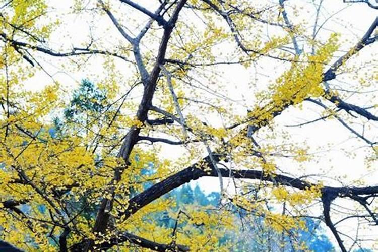 盘州机场攻略旅游景点介绍 盘州机场在哪里
