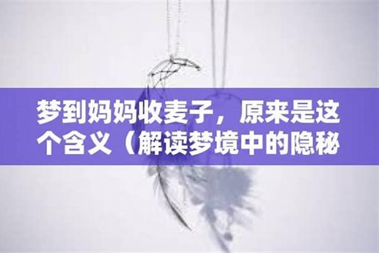 77年属蛇男2025年的运势和婚姻状况