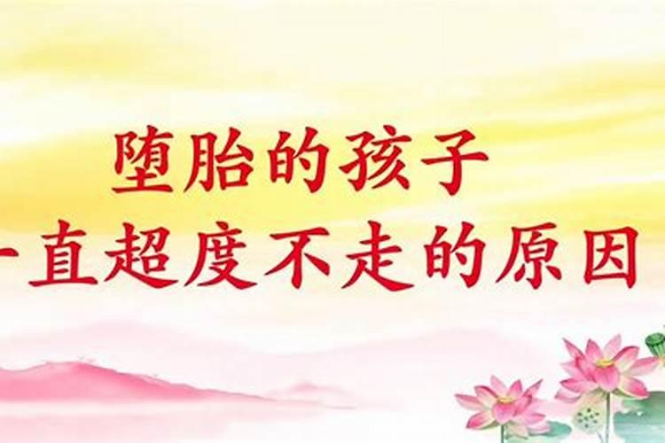 本命年可以领证不办婚礼吗