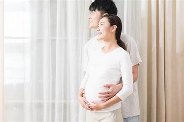 属狗和属狗的婚姻怎么样 狗和狗相配婚姻如何