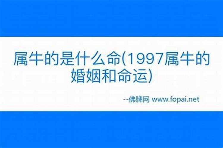 同是属牛男农历3月21和女农历10月10日合得来吗？