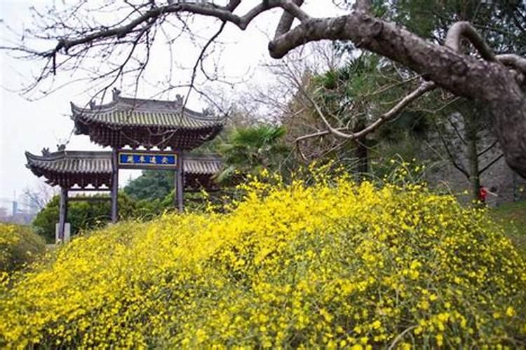 婚姻算命:12生肖婚配八字相生相克