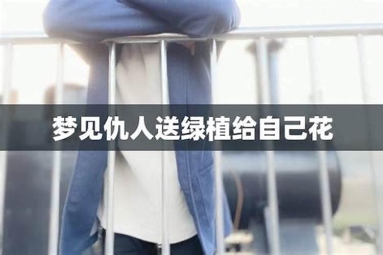 属狗和属猴的合作怎么样,属狗和属猴的在事业上好不好