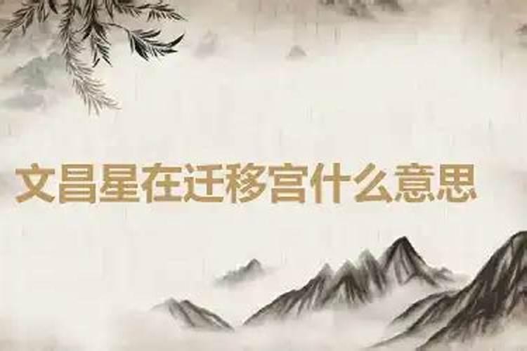 梦见猫和狗是什么预兆