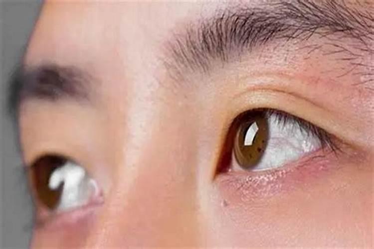 梦见河水涨水淹房的预兆
