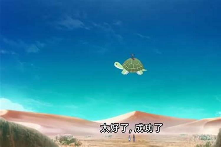梦见骑大乌龟在海里游的预兆