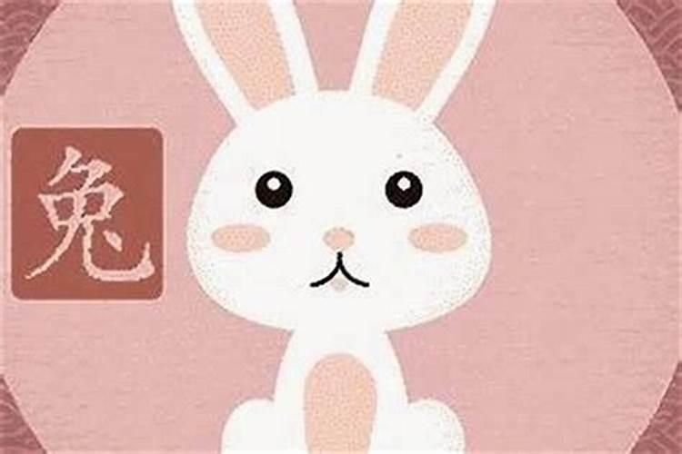 我属兔的,在本命年这年结婚好吗？
