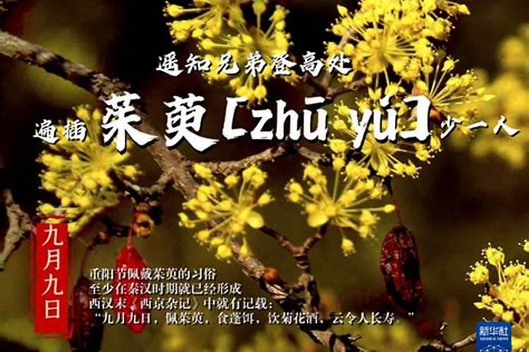 梦见搬进破旧的房子里住