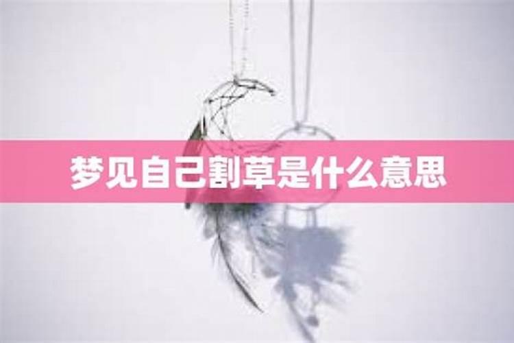 75年的兔多大岁数,1975年到2022 年多少岁