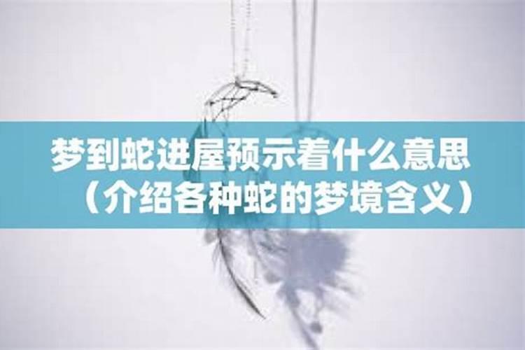 梦到蛇进屋会怎么样？
