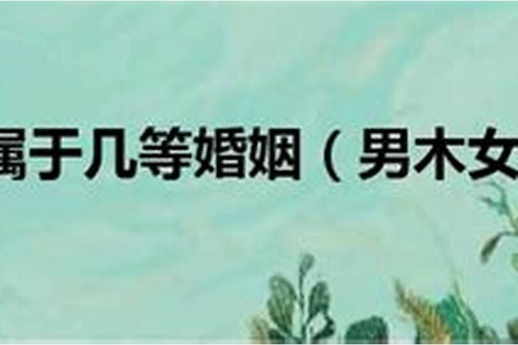 属蛇人遇鼠年