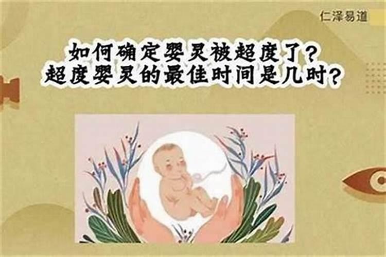 属鼠的人2025年运势及运程