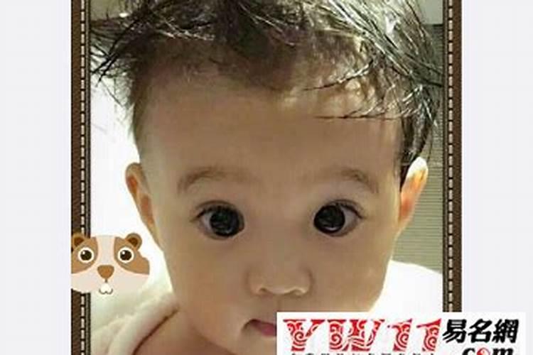 董梦洁这个名字的含义