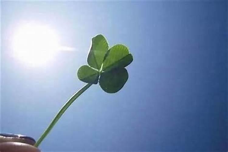 改变运气财运的十大方法(最厉害的转财运五种方法)