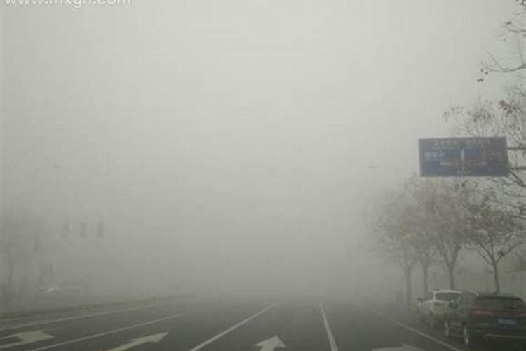 86年属虎人2024年运势及运程每月运程 属虎人2024年下半年运势