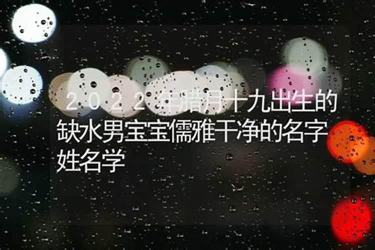 属猪男配什么属相最好