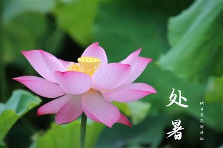 24节气出生的人命好吗