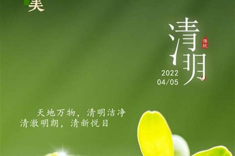 梦见土豆真的生儿子梦到土豆真的生儿子是什么意思