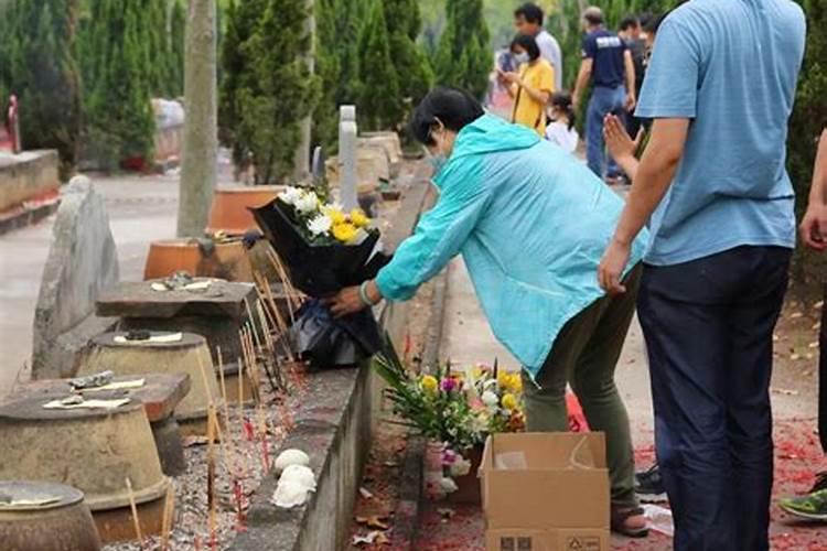 梦见土豆真的生儿子吗