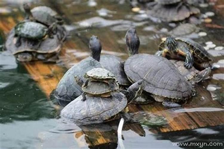 流年看天干还是地支？怎么看大运与流年的关系