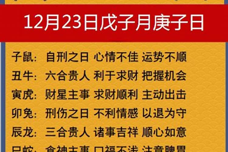 重阳节出生的是天命纯阳之体财运良好？