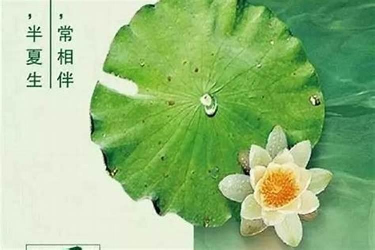 梦见了自己和朋友闹矛盾了的预兆
