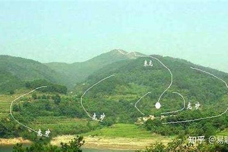 梦见死猫是什么意思