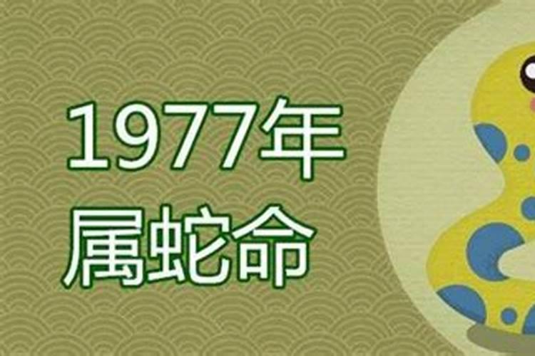 1977年属蛇男在2025年运程和运势