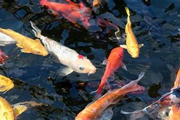 元宵节的节日风俗有哪些元宵节有哪些节日风俗