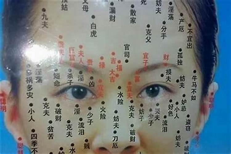 十二生肖犯太岁速查表,犯太岁查询表