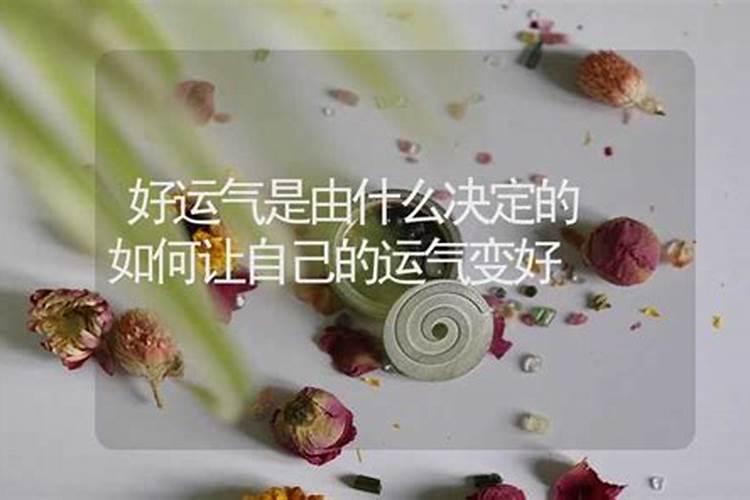 95年属猪女2025年运势和婚姻