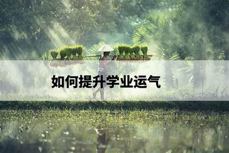 踏青是重阳节的风俗吗
