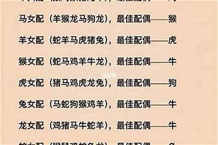 八字婚姻:属鼠和属猪的八字相合吗 结婚好不好？
