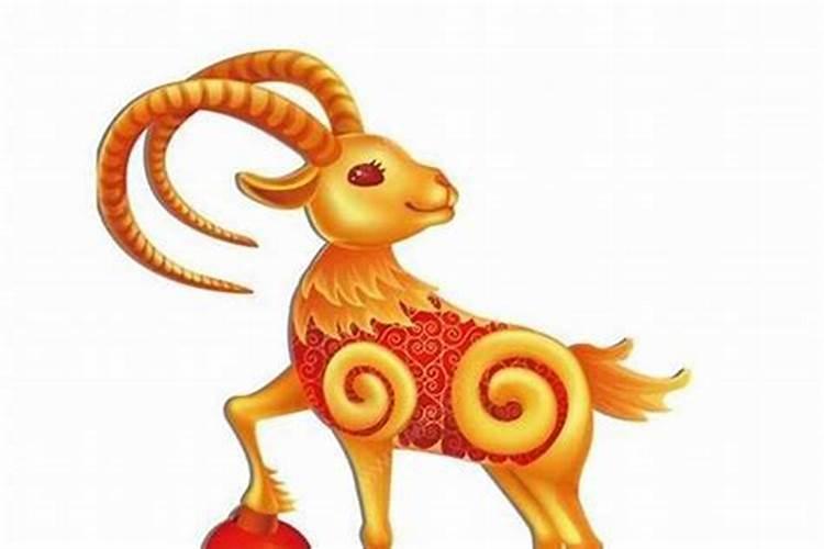 我是猪年的,听说今年会犯太岁,我应该怎么办？