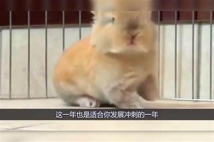 贵人撑腰的生肖女
