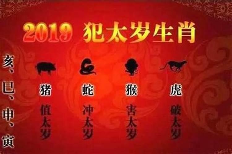 梦见蛇追着自己跑的预兆