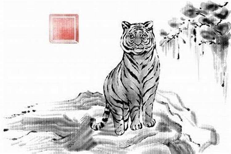 问真和测测哪个准