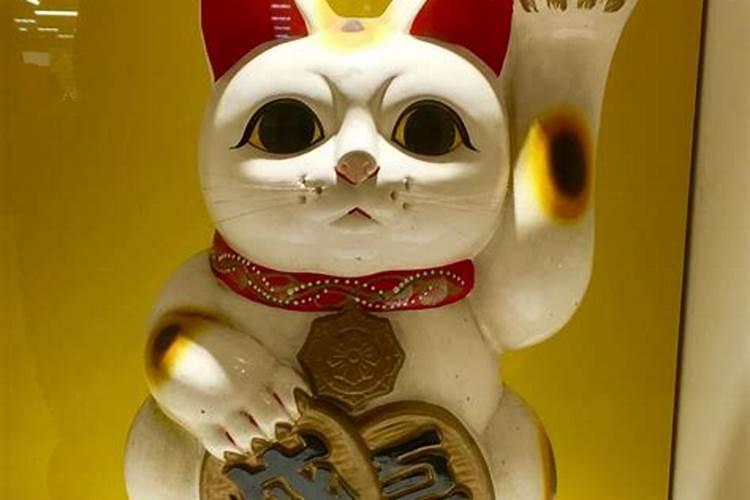 贵州黄果树瀑布在哪里？什么时候去最好？