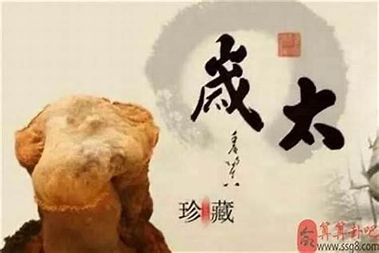 如何判断一个人的生辰八字犯太岁